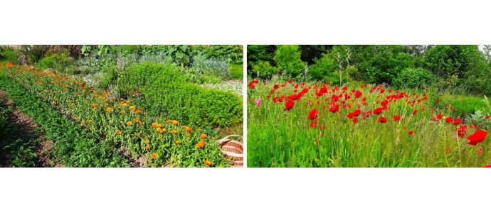 2023 - J'AI DIX ANS, SI TU M'CROIS PAS hey ! T'ar ta gueule à la récré !